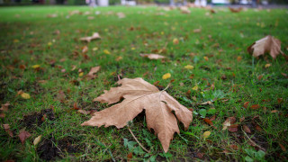 Днес облачността ще бъде разкъсана в следобедните часове предимно значителна