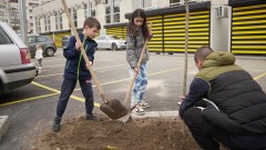 Фенове на Ботев (Пловдив) засадиха дръвчета до ‘‘Колежа‘‘