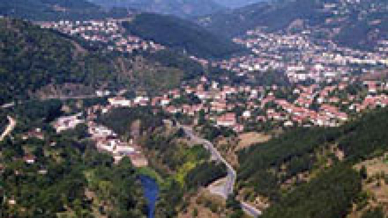 Изображение 4602