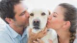 Кучетата и целуваме ли ги повече от партньорите си