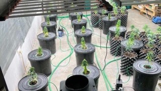 Спецоперация на служители от сектор Наркотици към СДВР завърши със