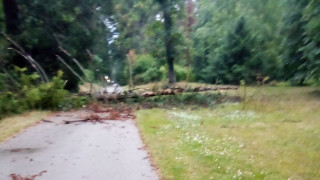 Областният управител на София Стефан Арсов отправя публичен апел към столичния