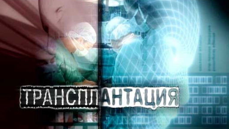 Изображение 95302