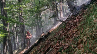 Две къщи две коли и селскостопански постройки са изгорели при