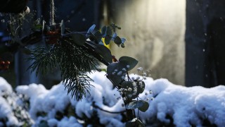 Ще бъде предимно ясно Вятърът в повечето райони временно ще