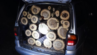 2 автомобила с незаконна дървесина бяха задържани от екип на