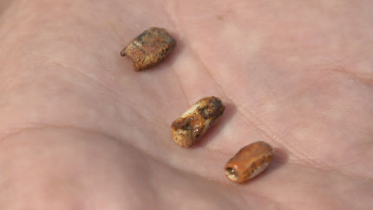 Изображение 206302