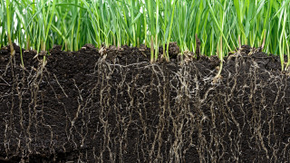 Тази компания рециклира батерии, за да подхранва растения