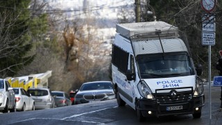 Паднало върху кола дърво уби жена във Витоша