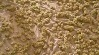 Хванаха трафиканти, опитали да изнесат 65 кг канабис в Турция