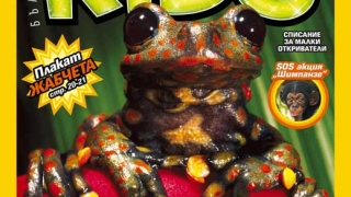 Невероятният свят на жабите в National Geographic Kids