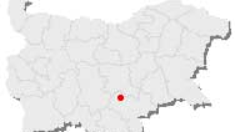 Изображение 7602