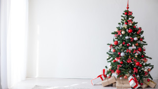 Мъж открадна елхичка от коледната украса в Перник Това става