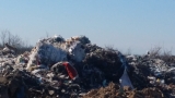Свищов пред опасност от замърсяване - трупат боклуците в закрито депо