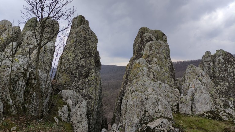 Изображение 568102