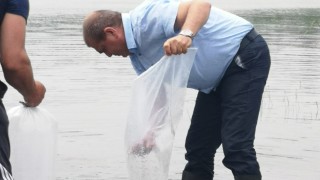 Проверяват с полиция за незаконни животински отпадъци в Сливенско