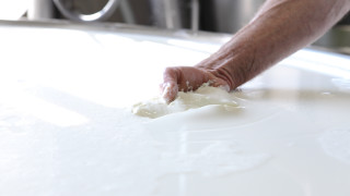 Млекопреработвателите възмутени от черната кампания срещу качеството на сиренето