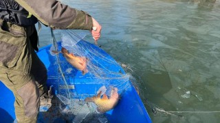 Служителите на Изпълнителната Агенция по рибарство и аквакултури ИАРА извършиха