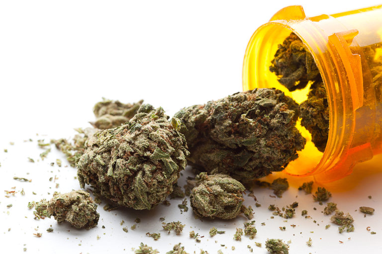 Eto Kakvo Prichinyava Redovnoto Pushene Na Marihuana Lifestyle Bg