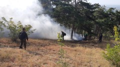 Шест пожара горят в община Кюстендил