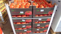 Износът на домати от Турция е скочил с 43%: Наша съседка е най-големият купувач