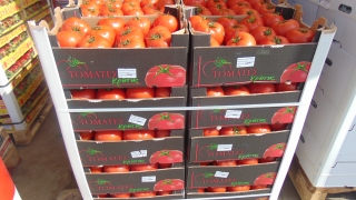 През миналата година износът на домати от Турция е нараснал