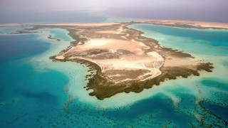 Саудитският телевизионен канал Al Arabiya съобщи че йеменските хуси са