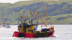 Още 6 млн. евро за рибари, ограничили улова заради войната в Черно море