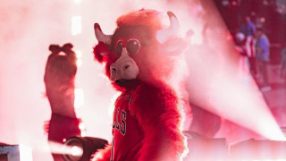 В света на спорта талисманите са нещо неизменно но определено