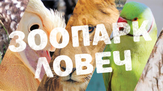 Във връзка с отбелязване на 60 годишнината от създаването на ловешкия