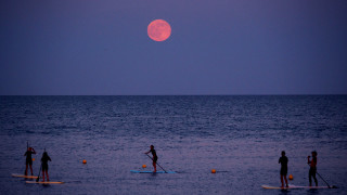 Какво носи "ягодовата" луна през юни 2024 на всяка зодия