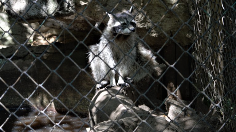 Изображение 540603