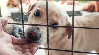 Министерският съвет прие решение за приемане на Отчет за изпълнение