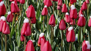 Днес ще има разкъсана след обяд временно значителна средна и