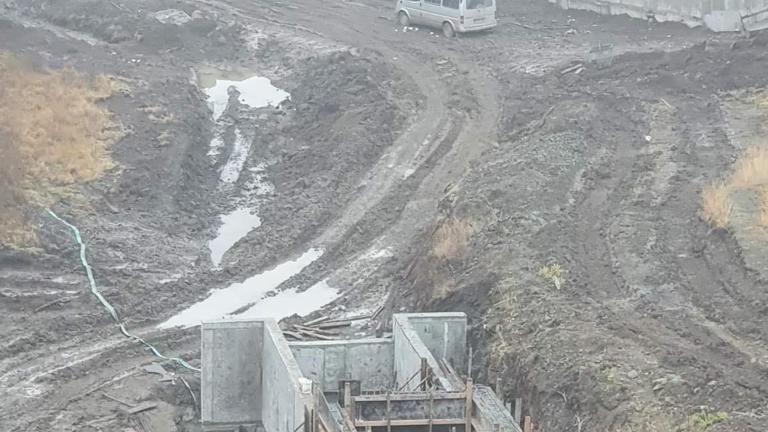 Изображение 511403