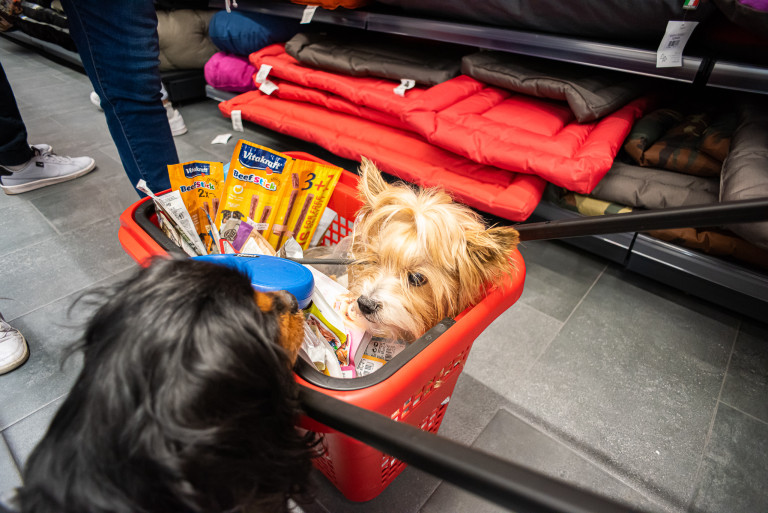 В Maxi Pet домашните любимци са звездите, които ще се насладят на преживяването и ще срещнат нови приятели