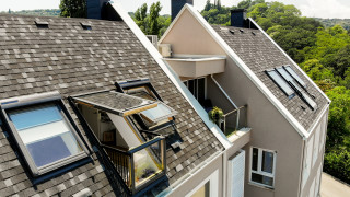 Безкрайна синя морска шир успокояваща горска зеленина необятен простор и