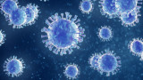  Проучване: Алфа разновидността на COVID-19 се е научил да блокира имунната система 
