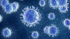 Проучване: Алфа вариантът на COVID-19 се е научил да блокира имунната система