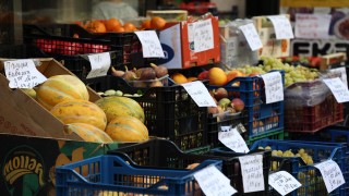 Браншова камара Плодове и зеленчуци БКПЗ внесе официално искане до