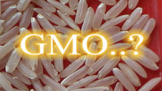 Чакаме оборудване за €2.4 млн. за ефективен здравен контрол