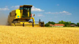  Рекорден рандеман на пшеница в България при рекордно висока цена 