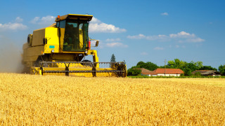 Националната асоциация на зърнопроизводителите стартира тридневни ефективни протестни действия на