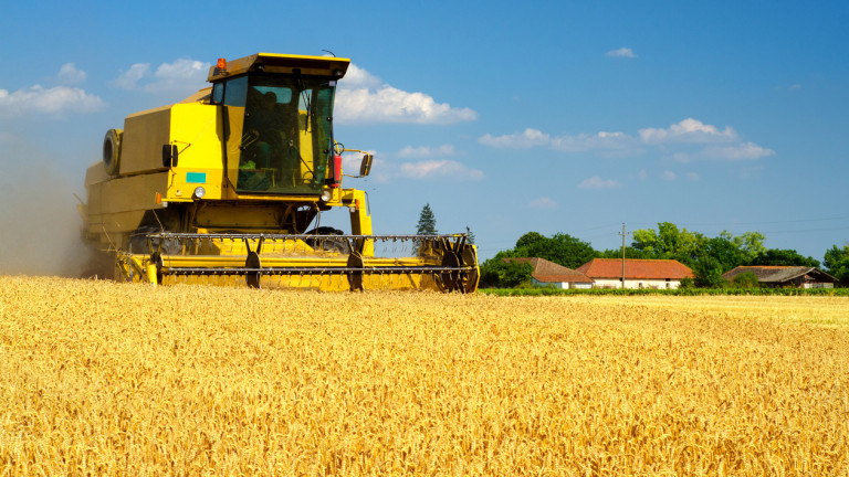 Износът на зърно от Румъния нараства с 42% за година
