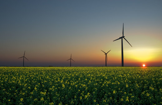 Кой ще бъде най-големият пазар за възобновяема енергия в света?
