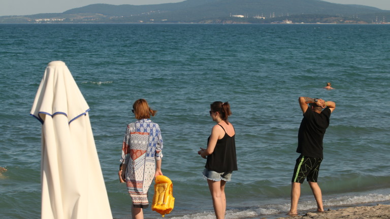 БАН установи: Замърсяването на плажове по Черноморието е листа на морски треви