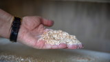 110 000 тона украинско зърно са изпратени на Етиопия и Сомалия