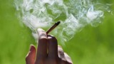  Канбера първа легализира марихуаната за персонална приложимост с развлекателна цел 
