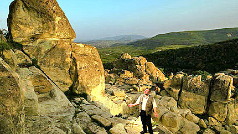 Изображение 14603