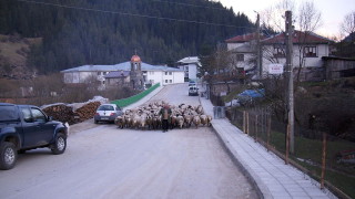 Ден на траур в Триград